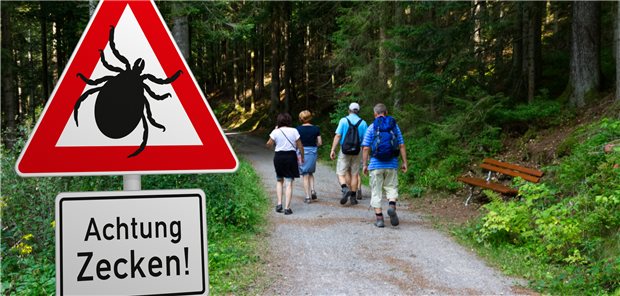 Im Wald mit entblößten Beinen unterwegs: Das zieht Zecken an!
