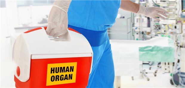 Organspendezahlen 2023 auf leichtem Erholungskurs Arzt mit einem Behälter, auf dem "Menschliches Organ" steht.