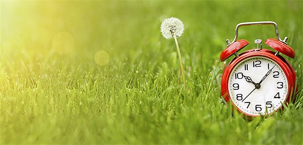 Satte Mehrheit für ganzjährige Sommerzeit Immer Sommerzeit und Sommer - das hätten viele Menschen gern.