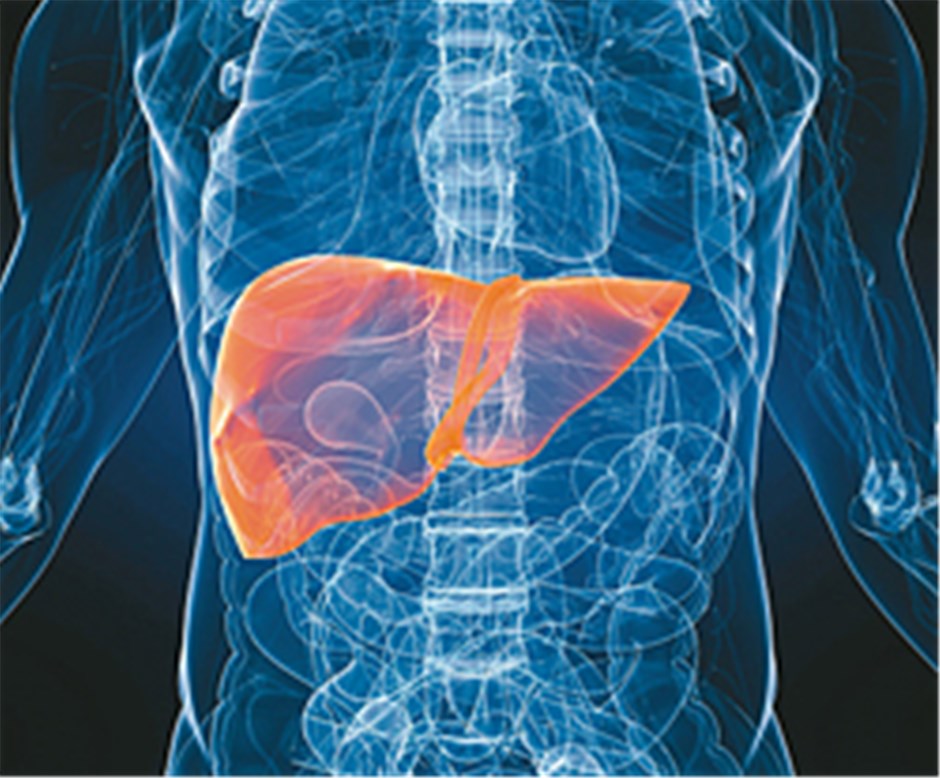 Wie steuert das virale Oberflächenantigen die Therapie bei Hepatitis B?