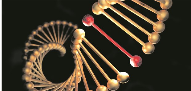 Zufallsbefunde bei Probanden – für Forscher eine komplizierte Sache Immer wieder entdecken Wissenschaftler durch Zufall Genmutationen bei Probanden – eine sensible Angelegenheit.