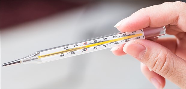 Immer wieder wird über Fremdkörper in der Blase von Menschen berichtet – etwa Thermometer. (Symbolbild – das Thermometer im beschriebenen Fall hatte nur 110 mm Länge und nur 4,5 mm Dicke)