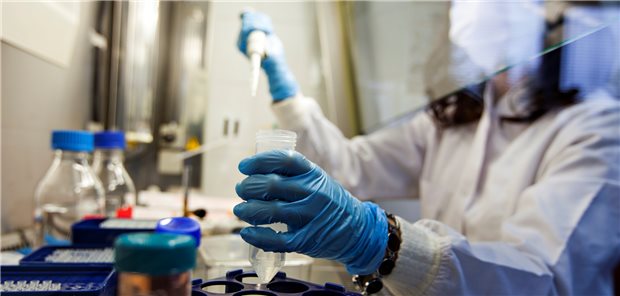 Grünes Licht für präventives Ebola-Impfregime Impfstoffentwicklung gegen das Ebolavirus: Es geht voran (Symbolbild).