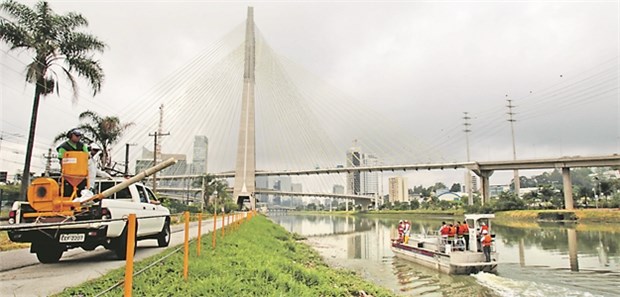 In Brasilien versuchen die Behörden verstärkt, die Brutstätten der Gelbfiebermücke an Flüssen wie dem Rio Pinheiros zu eliminieren.
