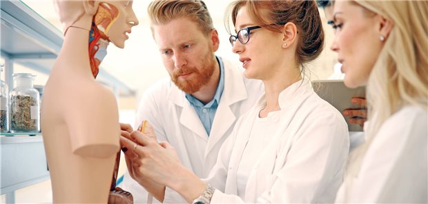 Wieso der Medizin-Studiengang in Chemnitz anders ist Medizinstudenten üben an einem Kunsttorso.