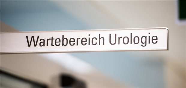 In Deutschland ist die Zahl stationärer Hodenkrebsbehandlungen binnen 20 Jahren um 40 Prozent gesunken.
