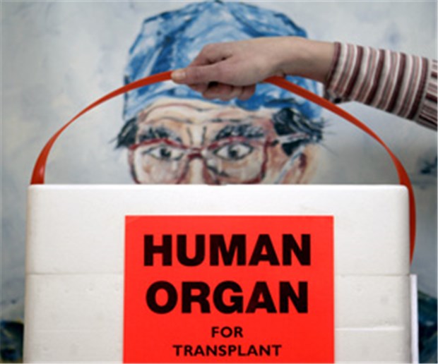 Organspende-Stiftung auf dem Prüfstand In Kühlboxen werden Organe transportiert. Nicht so cool soll sich der Vorstand der Deutschen Stiftung Organtransplantation verhalten haben.