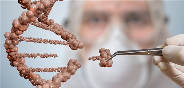 In Sicht: die Reparatur pathogener Gene.