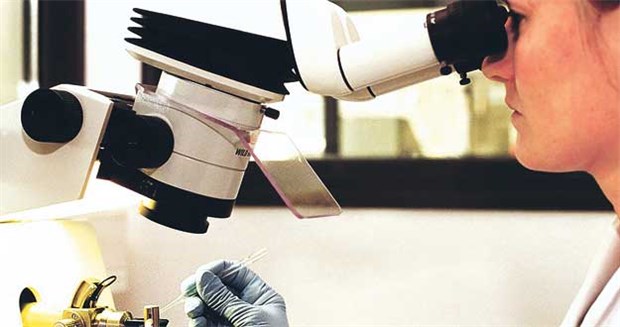 In den Pharma-Labors läuft die Forschung auf Hochtouren.