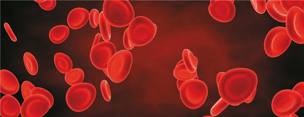 In der Gerinnungshemmung sind selektive Hemmer von Thrombin und Faktor Xa im Kommen. © creative images / fotolia.com