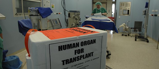 Krebs nach Transplantation: Therapie in Aussicht In der Kiste reist das Lymphom-Risiko mit: Kieler Forscher arbeiten an einer Therapie dagegen.