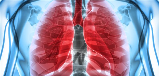 In der Lunge wirken Ivacaftor, Tezacaftor und Elexacaftor – doch Nebenwirkungen der Mukoviszidose-Therapie können auch das Gehirn betreffen.