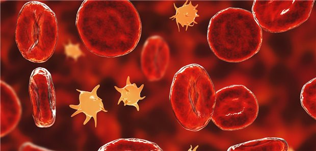 Rote Blutkörperchen und Thrombozyten in einer Computerdarstellung.