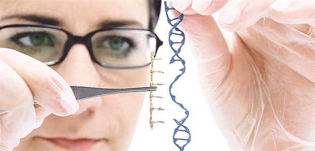 Der schwere Weg zur personalisierten Medizin In der personalisierten Medizin läuft zur Zeit eine stille molekularepidemiologische Revolution.