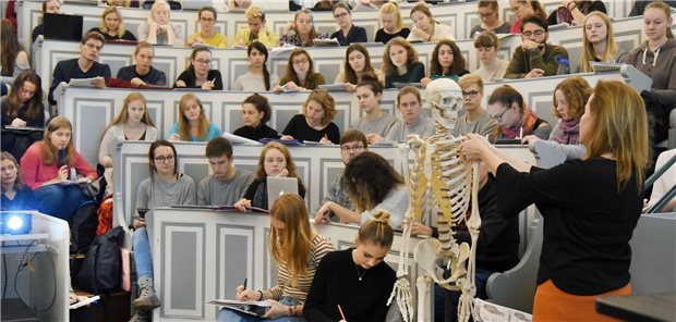 In einem Anatomie-Hörsaal der Medizinischen Fakultät an der Martin-Luther-Universität verfolgen Medizin- und Zahnmedizinstudenten des ersten Studienjahres eine Vorlesung.
