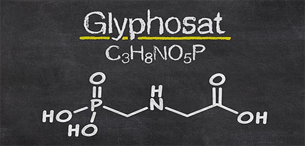US-Glyphosat-Verfahren spaltet In einem Schadenersatz-Prozess in den USA wurde der Glyphosat-Hersteller Monsanto zur Zahlung von 289 Millionen Dollar verurteilt.