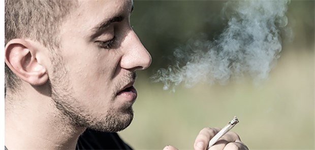 Cannabis und Sex: Das scheint zu passen In einem großen US-Gesundheitssurvey haben 50.000 Männer und Frauen zwischen 25 und 45 Jahren Angaben zu ihrem Cannabis-Konsum und der Sex-Häufigkeit gemacht.