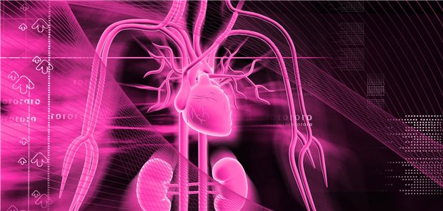 In einer großen Studie wurde die Wirkung des SGLT2-Hemmers Ertugliflozin auf Herz und Niere von Patienten mit Typ-2-Diabetes untersucht.