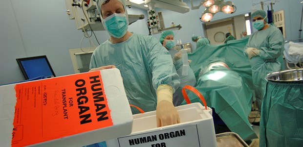 Weniger Zentren, andere Richtlinien In froher Erwartung: Eine Leber auf dem Weg zur Transplantation.