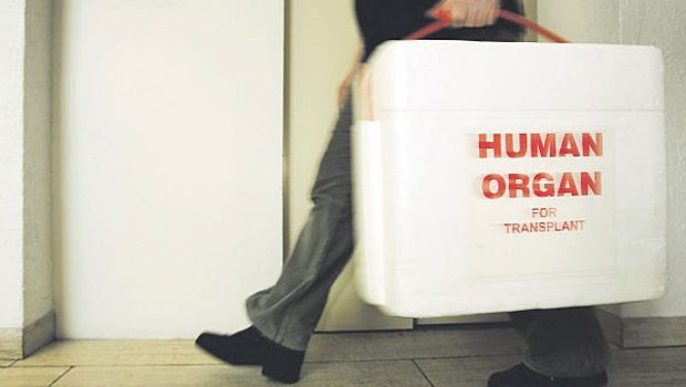 Transplantationsskandal: Zeit für die Imagepflege In solchen Boxen werden Spenderorgane transportiert. Derzeit sind sie weniger oft im Einsatz.