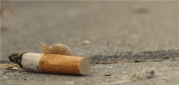 Tabakkontrolle im Schneckentempo? Schneckentempo beim Kampf gegen den Zigarettenkonsum