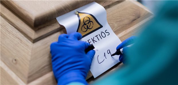 COVID-19 weltweit zeitweise zweithäufigste Todesursache „Infektiös C19“ – Hinweis auf einem Sarg mit einem Toten, der an SARS-CoV-2 gestorben ist.