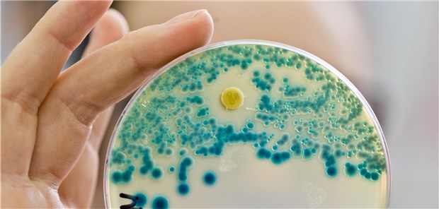 Antibiotika – warum weniger verschreiben? Antibiotika – warum weniger verschreiben?