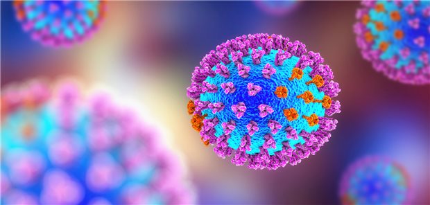 Infektion mit einem Influenzavirus: Das Virus kann dem Immunsystem durch „Cap-snatching“ entgehen. Diesen Vorgang zu inhibieren, könnte ein möglicher Therapieansatz sein. 