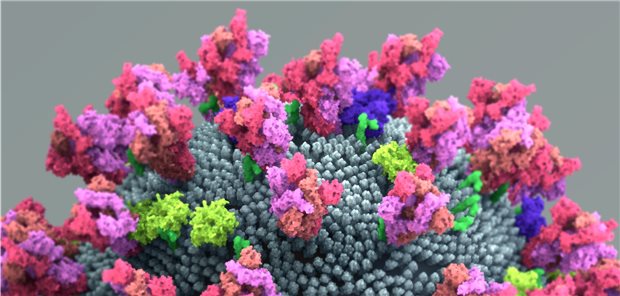 WHO-Forscher vermuten den Ursprung von SARS-CoV-2 gefunden zu haben Infektionen mit SARS-CoV-2 waren erstmals in Wuhan im Dezember 2019 nachgewiesen worden. Das Virus kursierte aber wahrscheinlich schon zuvor.