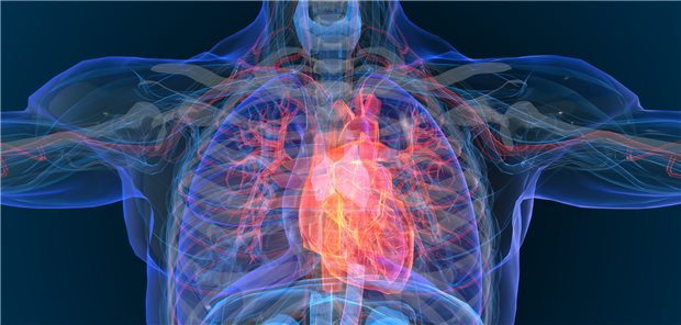 Inflammationen des Myo- oder Perikarditis treten im Zusammenhang mit mRNA-COVID-19-Impfstoffen selten bei jungen Männern auf.