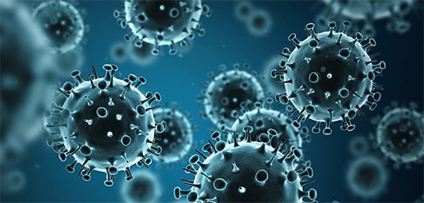 So startet die Grippesaison 2016/2017 Influenza-Viren, die die Grippe auslösen.
