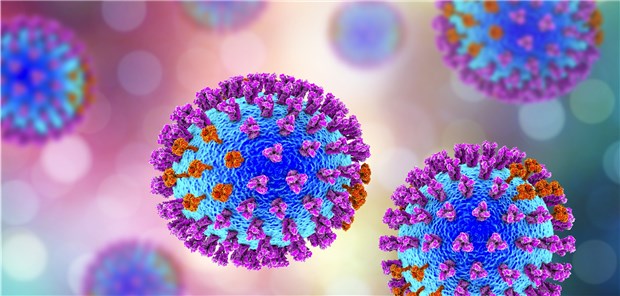 Influenza-Viren sind derzeit rege im Umlauf.