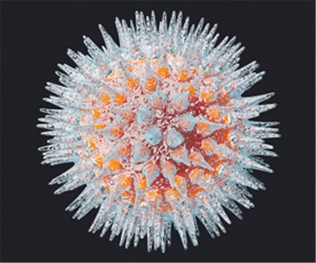 Influenza-Virus: 60 Prozent der impfenden Ärzte sind davor geschützt.