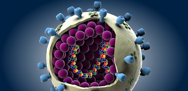 Nur jede vierte Infektion mit Symptomen? Influenzavirus: Die meisten Infektionen verlaufen ohne Symptome, glauben britische Forscher herausgefunden zu haben.
