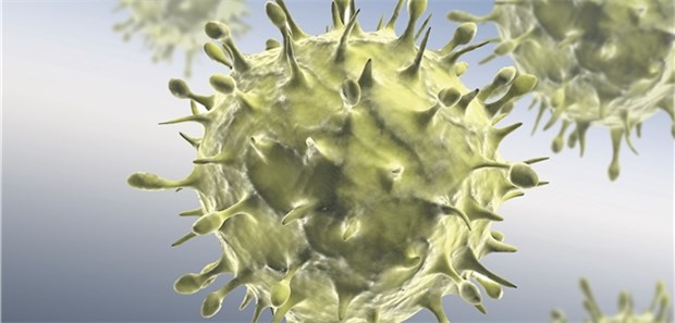 Wie Grippeviren ihr Erbgut steuern Influenzvirus : Mit Acetylierungen konnten Forscher den Replikationszyklus des Virus blockieren.