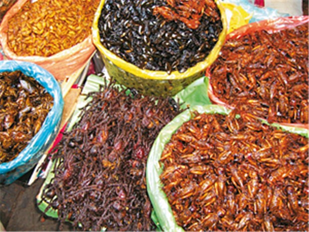 Die UNO wirbt für einen Speiseplan der Zukunft Insekten, für europäische Gaumen arg gewöhnungsbedürftig: Großes Angebot auf einem Markt in Kambodscha.