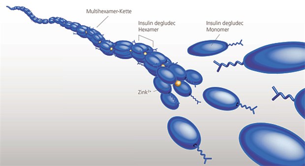 Insulin degludec bildet nach subkutaner Injektion im Unterhautfettgewebe ein Depot aus Multihexamer-Ketten, aus dem die blutzuckersenkend wirkenden Insulin-degludec-Monomere langsam in den Blutkreislauf abgegeben werden.