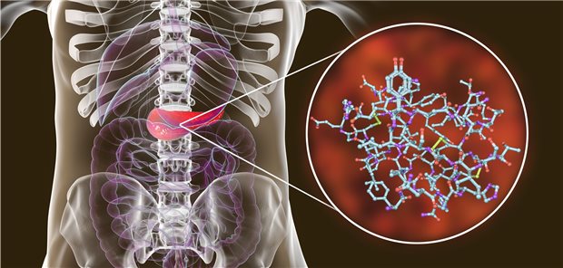 Insulin – im Pankreas produziert – im Fokus. Wie lässt sich ein Mangel des Hormons am besten ausgleichen? Forscher sind am Tüfteln.