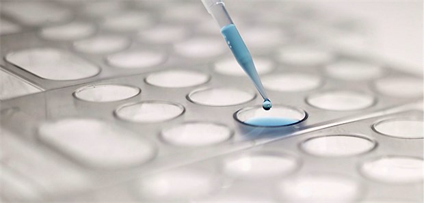 Pharma und MedTech glänzen mit Patenten Intensive Forschung ist das Rückgrat innovativer MedTech- und Pharmaunternehmen.