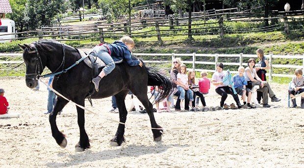 Auf dem Reiterhof tanken krebskranke Kinder neue Kraft Intensiver, vertrauensvoller Kontakt mit dem Pferd - die Kinder genießen jeden Augenblick mit den Vierbeinern.