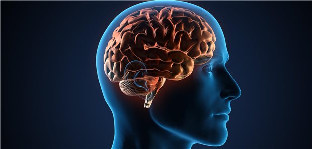 Isolierte kognitive Defizite lassen sich bei Personen mit multipler Sklerose sehr häufig nachweisen, sie sind als Hinweiszeichen zu deuten, dass im Krankheitsverlauf mit weiteren kognitiven Einbußen zu rechnen ist, so das Resümee der Forschenden. Sie befürworten, MS-Patientinnen und -Patienten möglichst früh auf kognitive Defizite hin zu screenen.