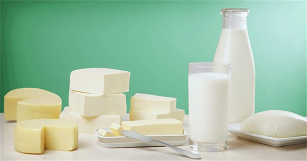 Gene, Infekte und Ernährung fördern Diabetes bei Kindern - die Prävention wird erforscht Ist Insulin in Kuhmilch eine Ursache für Diabetes bei Kindern? Es spricht einiges dafür.