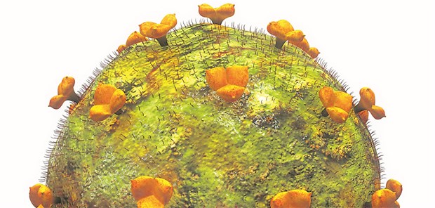 Ist das HI-Virus im Blut eines Infizierten nicht mehr nachweisbar, so geht von dieser Person auch keine Infektionsgefahr mehr aus.