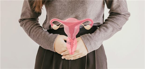 Schema eines Uterus vor einer Frau.