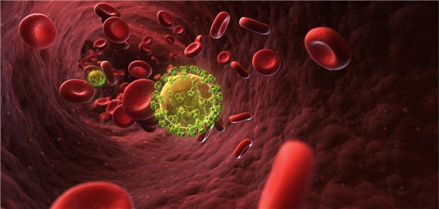 Jagd auf das HI-Virus: Die Immunsysteme mancher besonderer Patienten können das aus eigener Kraft - ohne medikamentöse Unterstützung.