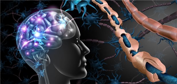 Je früher MS-Kranke krankheitsmodifizierende Therapeutika bekommen, umso besser ist die Prognose. Bei Zeichen einer Krankheitsaktivität sollte möglichst rasch eskaliert werden.