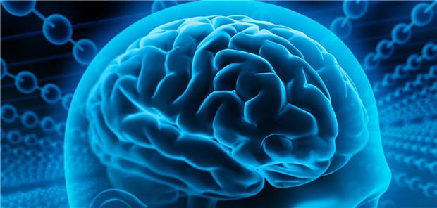 Je ungesünder mit Blick auf die kardiovaskuläre Situation MS-Patienten lebten, desto weniger graue Substanz hatten sie.