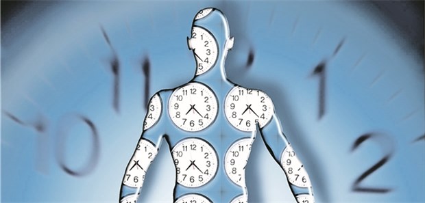 Die "Innere Uhr" als Taktgeber für unsere Gesundheit Jede Körperzelle verfügt über Gene, die im Tagesrhythmus aktiv werden.