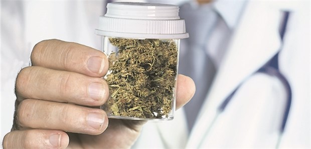 Ein Bruch mit dem deutschen Verordnungssystem? Jetzt auf BtM-Rezept zu verordnen: getrocknete Cannabis-Blüten.