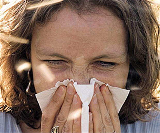 Drei Strategien gegen Pollenallergie Jetzt fliegen die Pollen wieder. Für Allergiker ist der Frühling nicht unbedingt die schönste Jahreszeit. © imagebroker / franke / imago